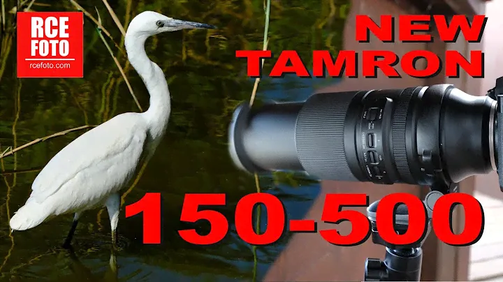 [ENG] - Tamron 150-500mm F/5-6.7 Di III VC VXD for Fuji - Field Test