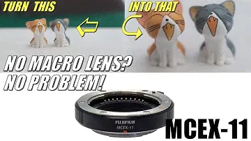 Macro Photography Tip SAVE MONEY - How to Get Close Up Shots without a Macro Lens - MCEX-11 Fujifilm