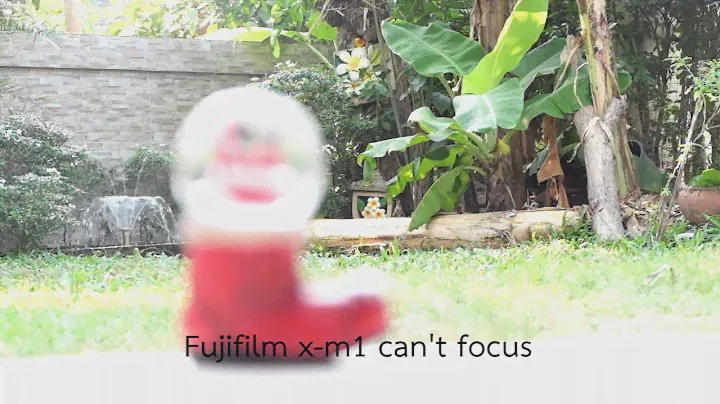 Fujifilm x-m1 video test+focus test