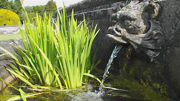 Fujifilm FinePix SL300 Test Video
