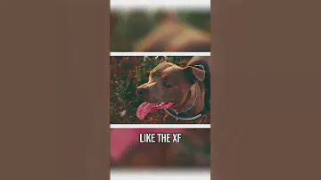 Can the Fujifilm XF 35mm F1.4 resolve 40 megapixels?
