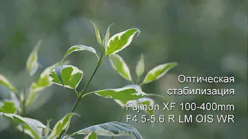 Оптическая стабилизация Fujinon 100-400 F4.5-5.6 на Fujifilm X-T3