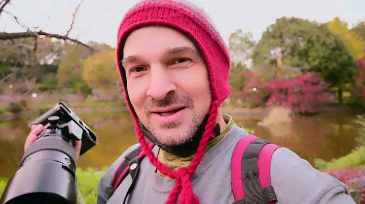 GFX 100s King Fisher Photography in Japan w/ GF 250mm + 1.4 TC and they said it couldn't be done !