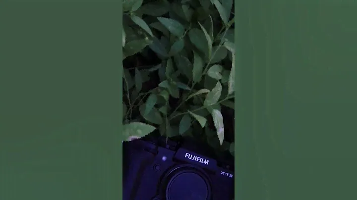 fujifilm X-t3 || fujifilm xt3 unboxing videos #fujifilm #mynewcamera