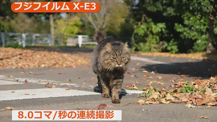 フジフイルム X-E3（カメラのキタムラ動画_FUJIFILM）