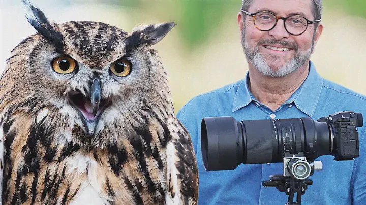 STUNNING "Cool Owl" With Fujifilm X-H2 & Tamron 150-500mm Lens