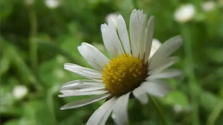 Die FinePix S2980 von FUJIFILM im Test!