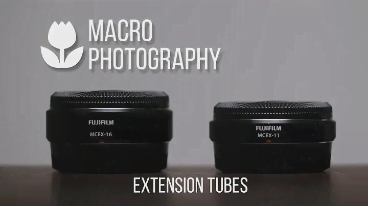 Macro Photography with Extension Tubes